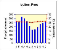 Climograph for Iquitos, Peru