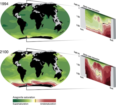 ocean acidification