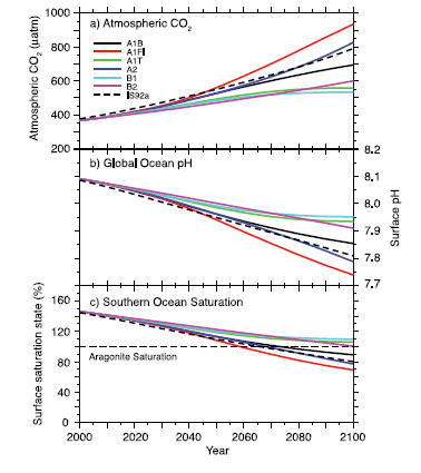 Future ocean acidification